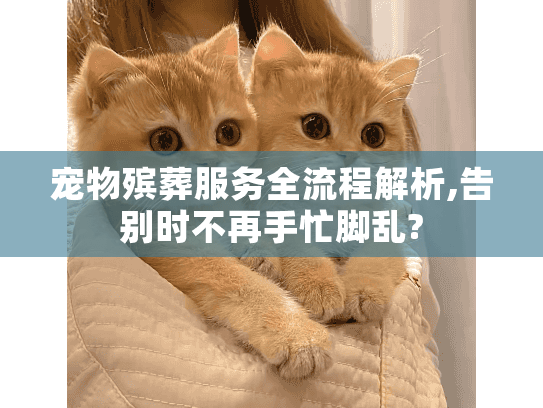 宠物殡葬服务全流程解析,告别时不再手忙脚乱?