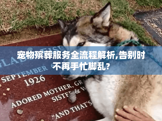 宠物殡葬服务全流程解析,告别时不再手忙脚乱?