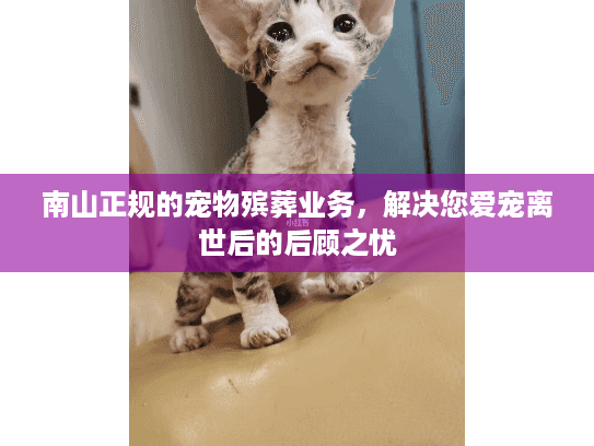 南山正规的宠物殡葬业务，解决您爱宠离世后的后顾之忧