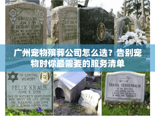 广州宠物殡葬公司怎么选？告别宠物时你最需要的服务清单