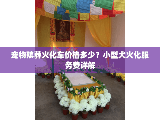 宠物殡葬火化车价格多少？小型犬火化服务费详解
