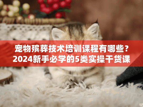 宠物殡葬技术培训课程有哪些？2024新手必学的5类实操干货课程全揭秘