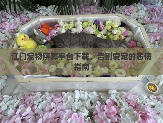 江门宠物殡葬平台下载，告别爱宠的悲伤指南