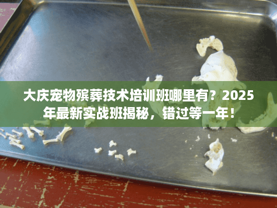 大庆宠物殡葬技术培训班哪里有?2025年最新实战班揭秘,错过等一年! 大庆宠物殡葬技术培训班哪里有?2025年最新实战班揭秘,错过等一年!