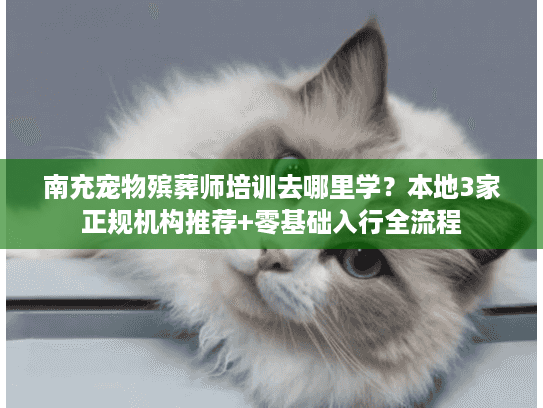 南充宠物殡葬师培训去哪里学？本地3家正规机构推荐+零基础入行全流程