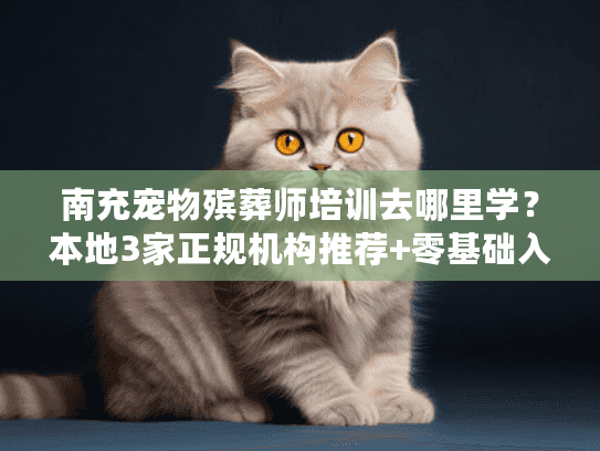 南充宠物殡葬师培训去哪里学？本地3家正规机构推荐+零基础入行全流程