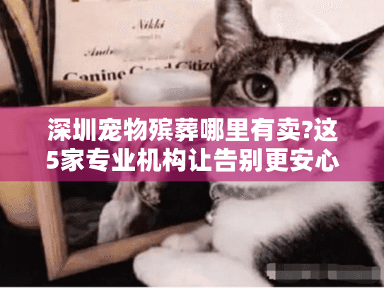 深圳宠物殡葬哪里有卖?这5家专业机构让告别更安心