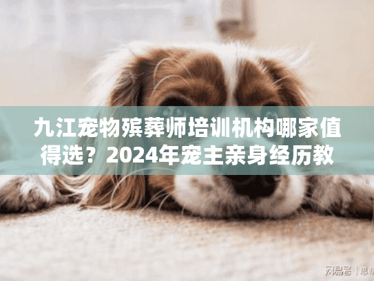 九江宠物殡葬师培训机构哪家值得选？2024年宠主亲身经历教你避开这些坑