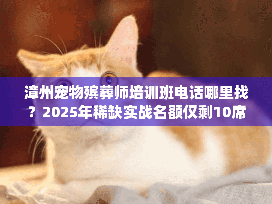 漳州宠物殡葬师培训班电话哪里找？2025年稀缺实战名额仅剩10席？
