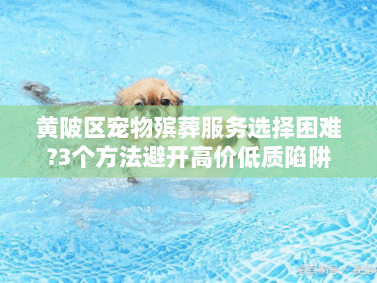 黄陂区宠物殡葬服务选择困难?3个方法避开高价低质陷阱