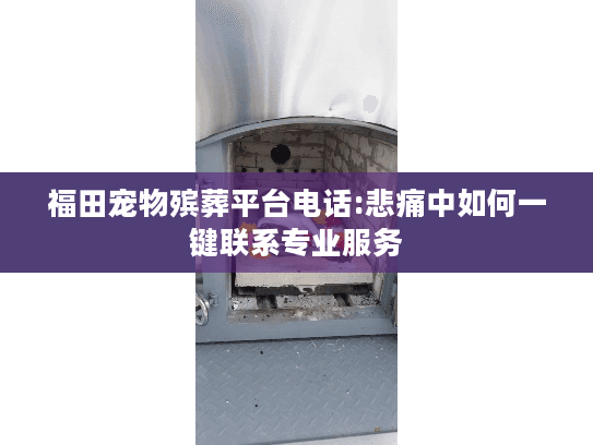 福田宠物殡葬平台电话:悲痛中如何一键联系专业服务