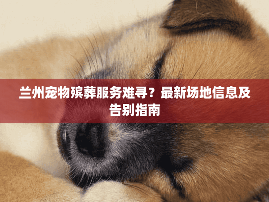 兰州宠物殡葬服务难寻？最新场地信息及告别指南