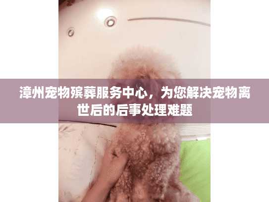 漳州宠物殡葬服务中心，为您解决宠物离世后的后事处理难题