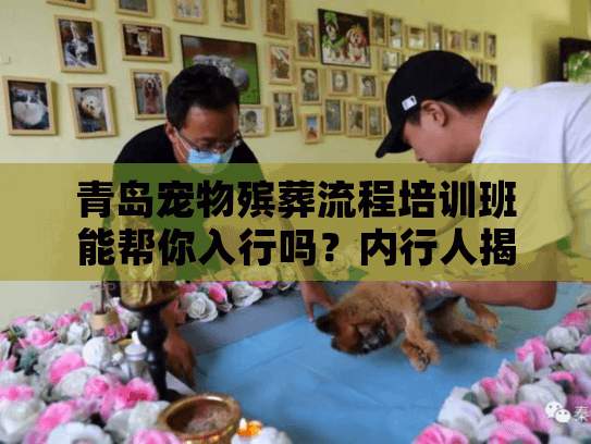 青岛宠物殡葬流程培训班能帮你入行吗?内行人揭秘3个关键收获 青岛宠物殡葬流程培训班能帮你入行吗?内行人揭秘3个关键收获