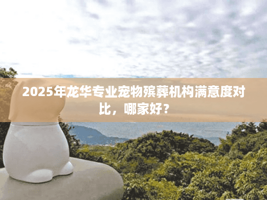 2025年龙华专业宠物殡葬机构满意度对比，哪家好？