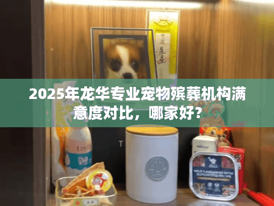 2025年龙华专业宠物殡葬机构满意度对比，哪家好？