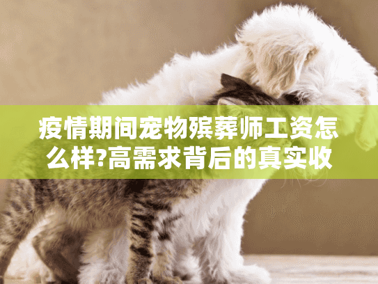 疫情期间宠物殡葬师工资怎么样?高需求背后的真实收入揭秘