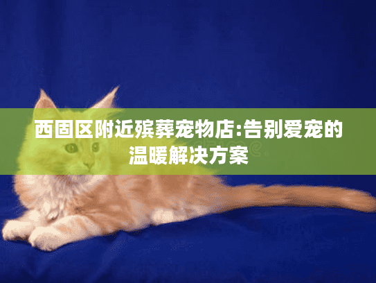 西固区附近殡葬宠物店:告别爱宠的温暖解决方案