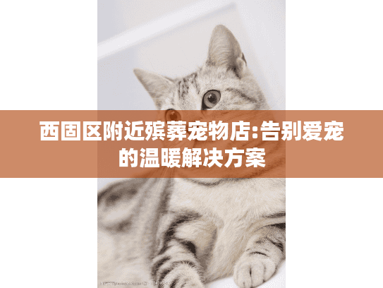 西固区附近殡葬宠物店:告别爱宠的温暖解决方案
