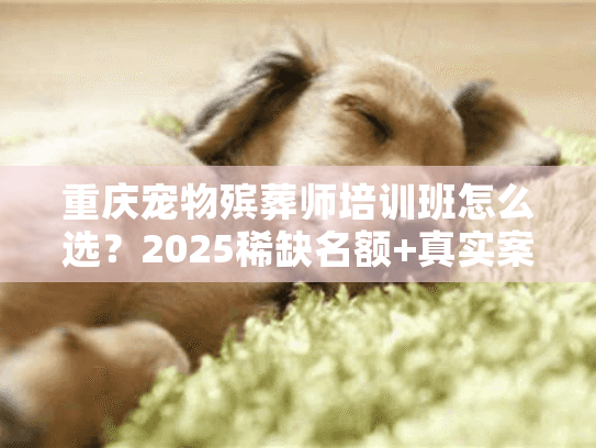 重庆宠物殡葬师培训班怎么选？2025稀缺名额+真实案例+避坑指南全解析