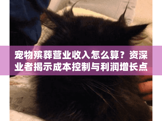 宠物殡葬营业收入怎么算？资深业者揭示成本控制与利润增长点