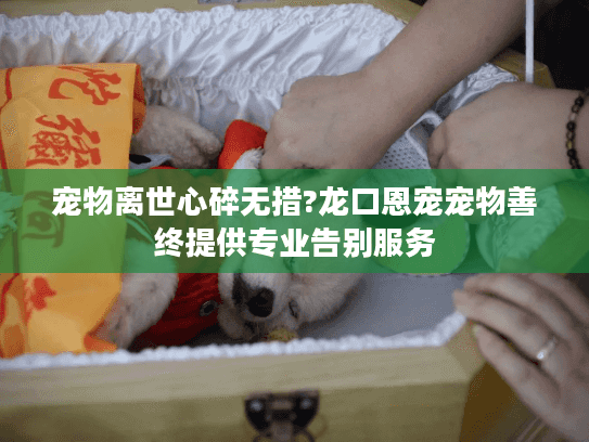 宠物离世心碎无措?龙口恩宠宠物善终提供专业告别服务