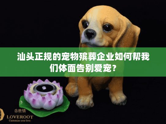 汕头正规的宠物殡葬企业如何帮我们体面告别爱宠？