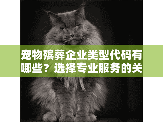 宠物殡葬企业类型代码有哪些？选择专业服务的关键依据
