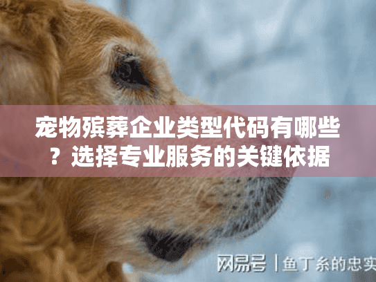 宠物殡葬企业类型代码有哪些？选择专业服务的关键依据
