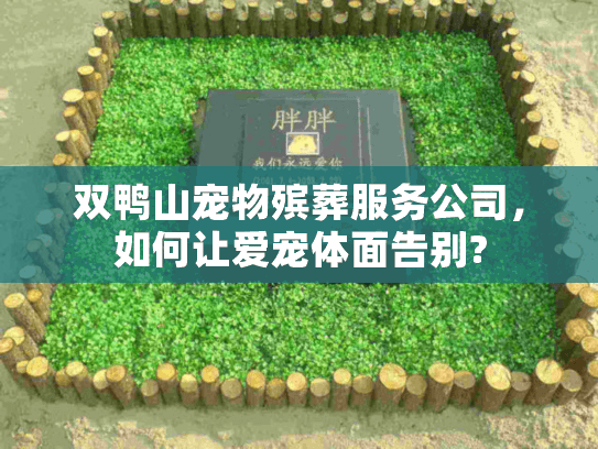 双鸭山宠物殡葬服务公司，如何让爱宠体面告别?