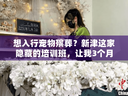 想入行宠物殡葬？新津这家隐藏的培训班，让我3个月成了持证师