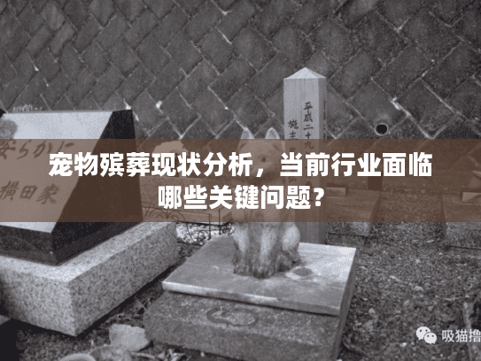 宠物殡葬现状分析，当前行业面临哪些关键问题？