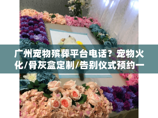 广州宠物殡葬平台电话？宠物火化/骨灰盒定制/告别仪式预约一键解决