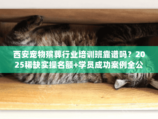 西安宠物殡葬行业培训班靠谱吗？2025稀缺实操名额+学员成功案例全公开