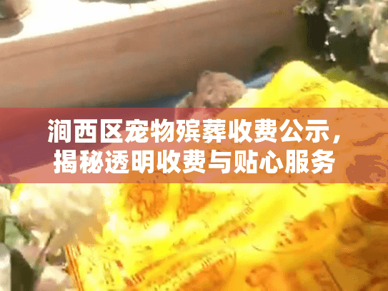 涧西区宠物殡葬收费公示，揭秘透明收费与贴心服务