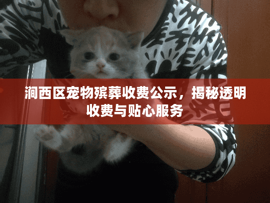 涧西区宠物殡葬收费公示，揭秘透明收费与贴心服务