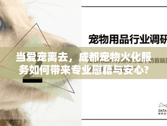 当爱宠离去，成都宠物火化服务如何带来专业慰藉与安心?