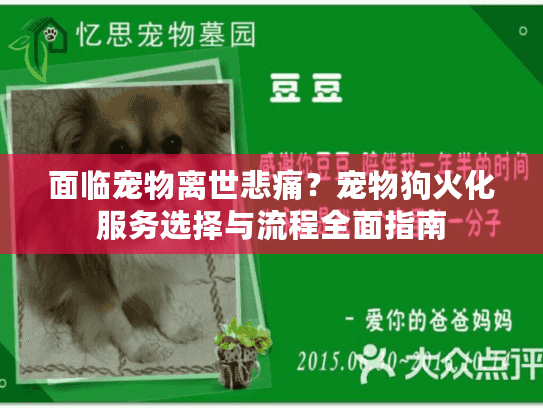 面临宠物离世悲痛？宠物狗火化服务选择与流程全面指南