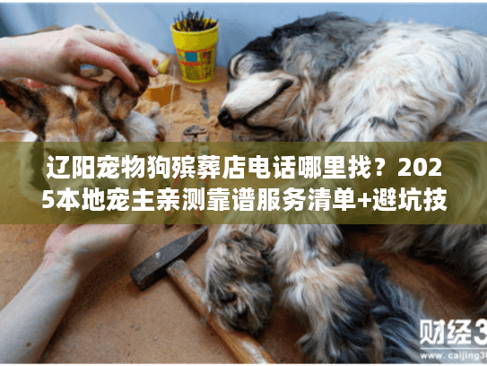 辽阳宠物狗殡葬店电话哪里找？2025本地宠主亲测靠谱服务清单+避坑技巧