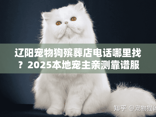 辽阳宠物狗殡葬店电话哪里找？2025本地宠主亲测靠谱服务清单+避坑技巧