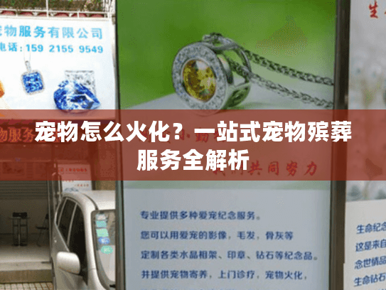 宠物怎么火化？一站式宠物殡葬服务全解析