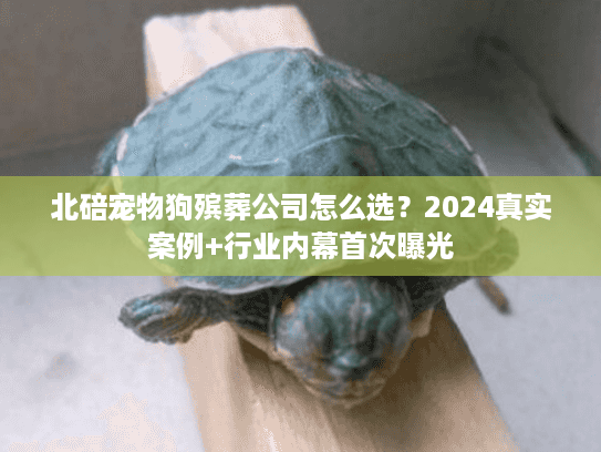 北碚宠物狗殡葬公司怎么选?2024真实案例+行业内幕首次曝光 北碚宠物狗殡葬公司怎么选?2024真实案例+行业内幕首次曝光