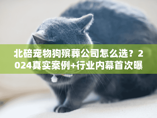 北碚宠物狗殡葬公司怎么选?2024真实案例+行业内幕首次曝光 北碚宠物狗殡葬公司怎么选?2024真实案例+行业内幕首次曝光