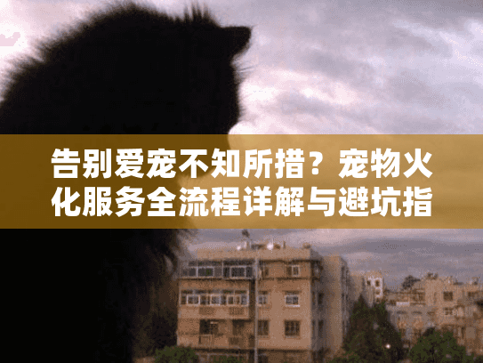告别爱宠不知所措？宠物火化服务全流程详解与避坑指南
