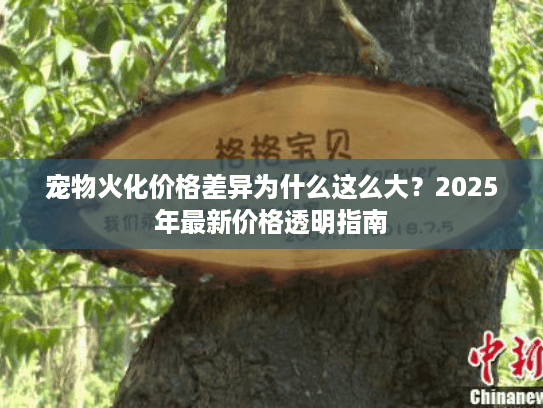宠物火化价格差异为什么这么大？2025年最新价格透明指南