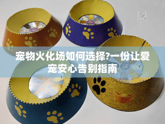 宠物火化场如何选择?一份让爱宠安心告别指南