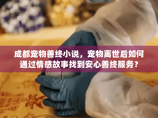 成都宠物善终小说，宠物离世后如何通过情感故事找到安心善终服务？