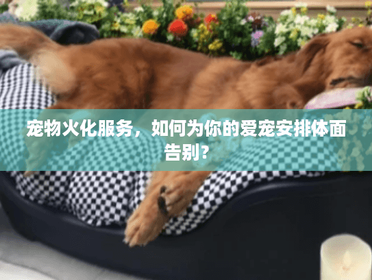 宠物火化服务，如何为你的爱宠安排体面告别？