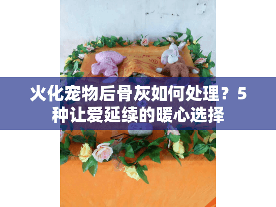 火化宠物后骨灰如何处理？5种让爱延续的暖心选择
