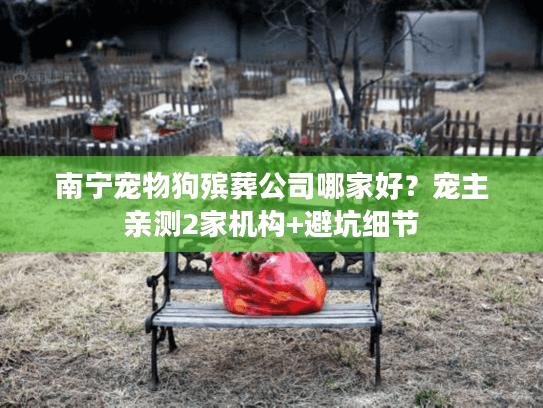 南宁宠物狗殡葬公司哪家好？宠主亲测2家机构+避坑细节